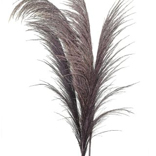 softdream flora bladvass