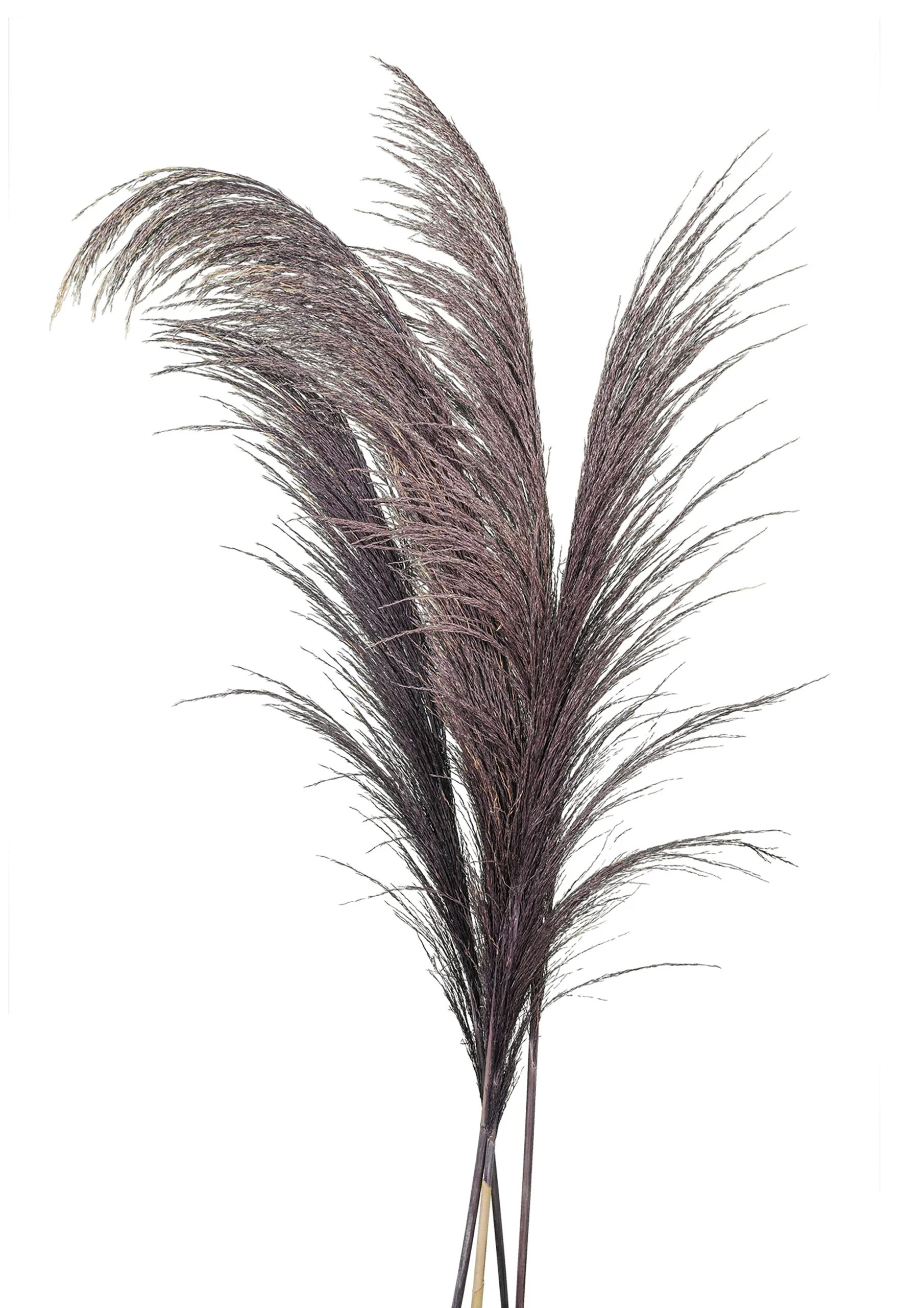 softdream flora bladvass