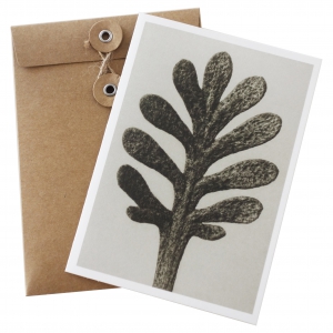 Stort kort Achillea umbellata