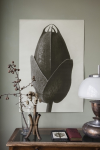 Miljöbild Cosmos Bepinnatus 