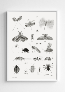 BUGS Poster