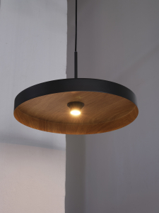 Plate pendant 