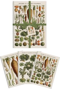 NYHET Anteckningsbok 3-pack 