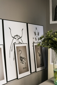 Dessa bilder får endast användas fritt i sociala medier med credit till fotograf Sofi Sykfont.För tryckt media var vänlig kontakta Mia!