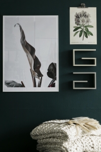 Dessa bilder får endast användas fritt i sociala medier med credit till fotograf Sofi Sykfont.För tryckt media var vänlig kontakta Mia!