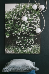 Dessa bilder får endast användas fritt i sociala medier med credit till fotograf Sofi Sykfont.För tryckt media var vänlig kontakta Mia!