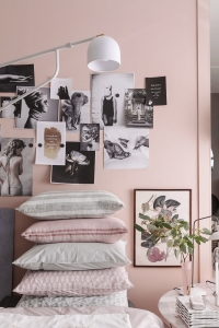 Dessa bilder får endast användas fritt i sociala medier med credit till fotograf Sofi Sykfont.För tryckt media var vänlig kontakta Mia!